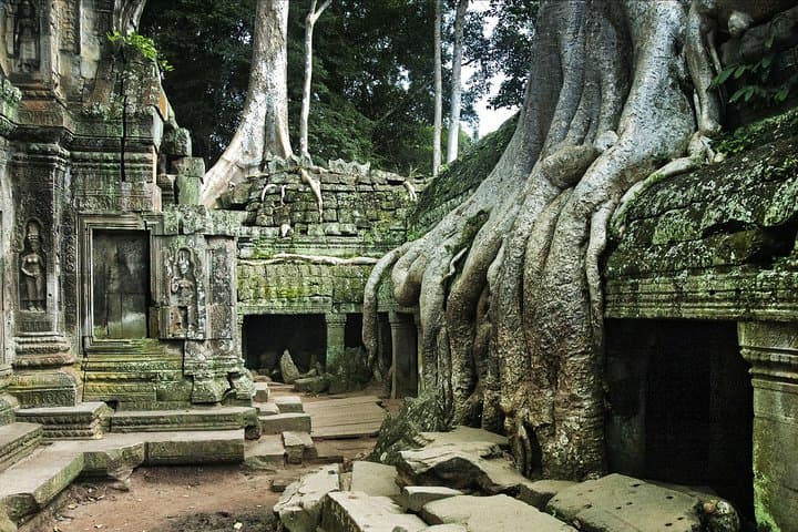 Private Angkor Wat Day Tour: Explore Angkor Wat, Angkor Thom & Ta Prohm photo 6