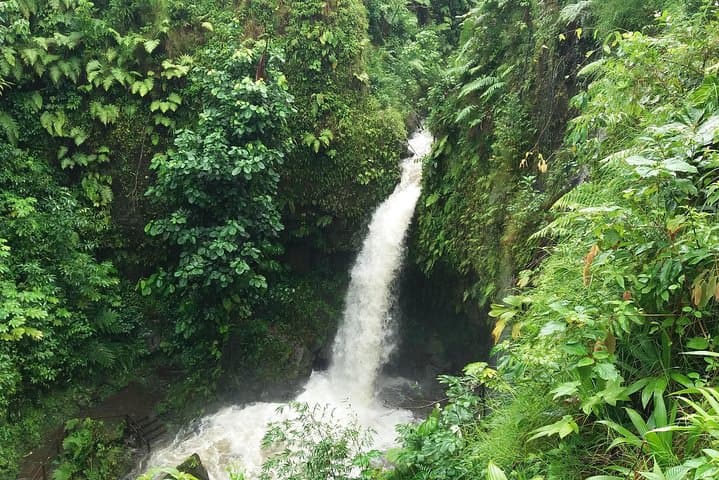 Pepper's 4-Hour Special: Dominica Waterfall Bathing & Black Sand Beach photo 2