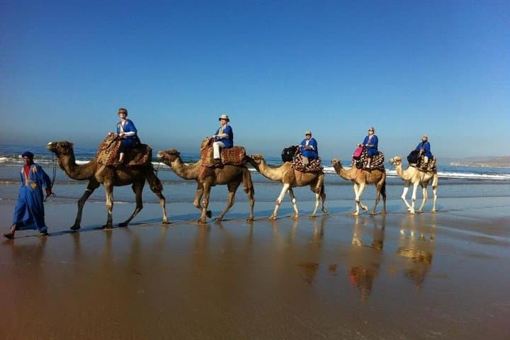 Camel Riding in Agadir: 2-Hour Souss River & Ranch Experience