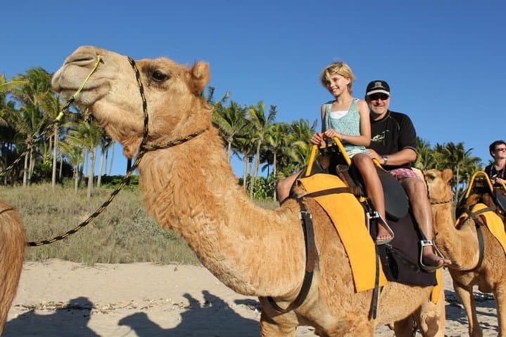 Camel Riding in Agadir: 2-Hour Souss River & Ranch Experience photo 2