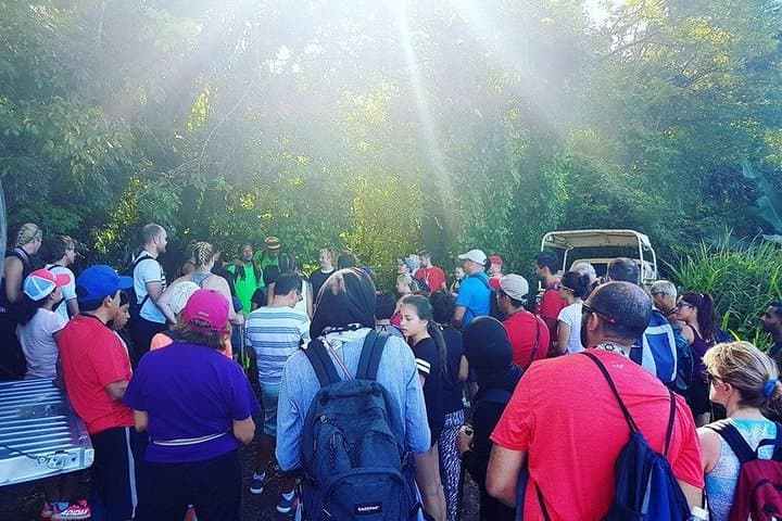Mount Liamuiga Trek — St Kitts Volcano Caldera Hike photo 6