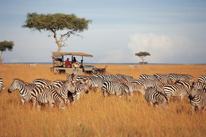 10-Day-Kenya-Photographic-Safari-Photographers-Guide