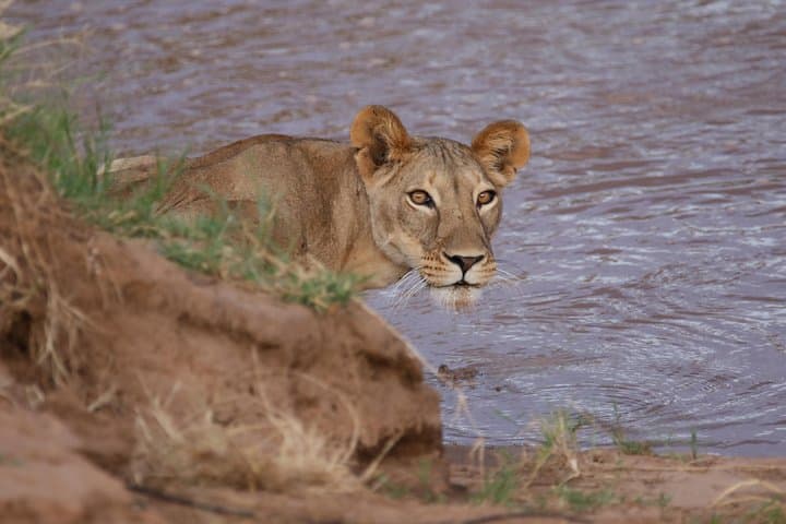 10-Day-Kenya-Photographic-Safari-Photographers-Guide photo 2