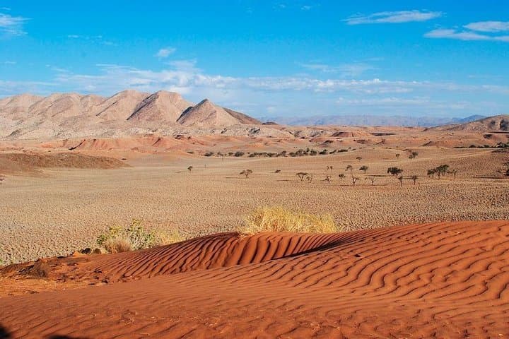 Sossusvlei 3-Day Dune 45, Big Daddy & Deadvlei Tour from Windhoek photo 6