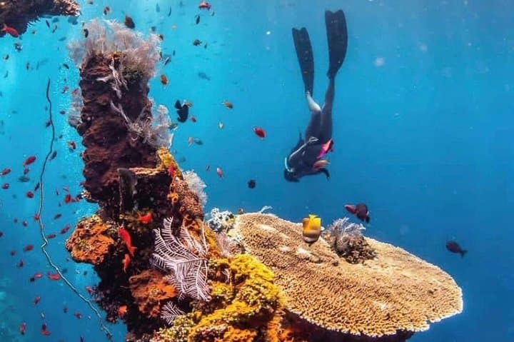 All‑Inclusive Bali Scuba Diving — Tulamben & Padang Bay Boat Dives with Lunch