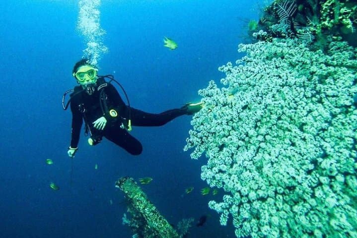 All‑Inclusive Bali Scuba Diving — Tulamben & Padang Bay Boat Dives with Lunch photo 5