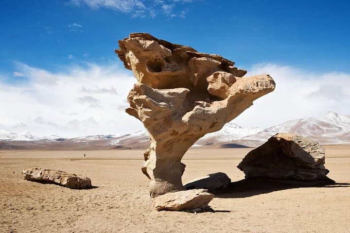 Three-Day Uyuni Salt Flats Expedition: Salar de Uyuni Highlights photo 3