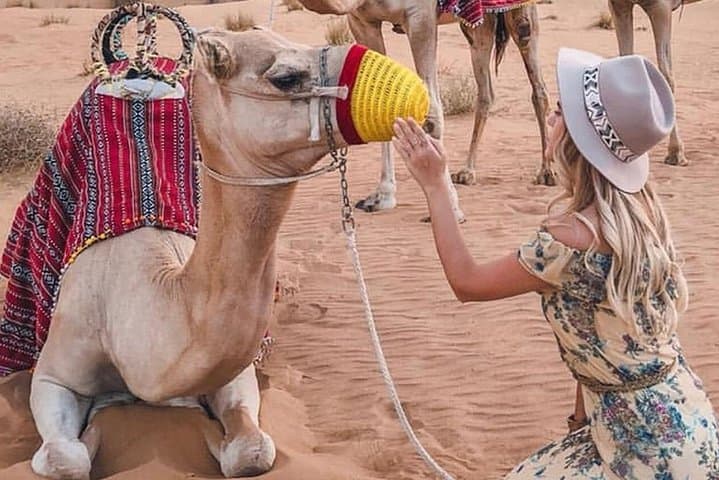 Sunset Dune Bashing & Bedouin BBQ: Abu Dhabi Evening Desert Safari photo 6