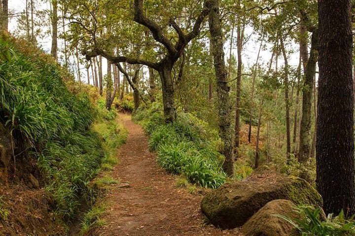 Combo Expedition: Jeep Safari and Levada Walk in Madeira photo 4