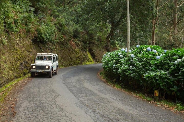 Combo Expedition: Jeep Safari and Levada Walk in Madeira