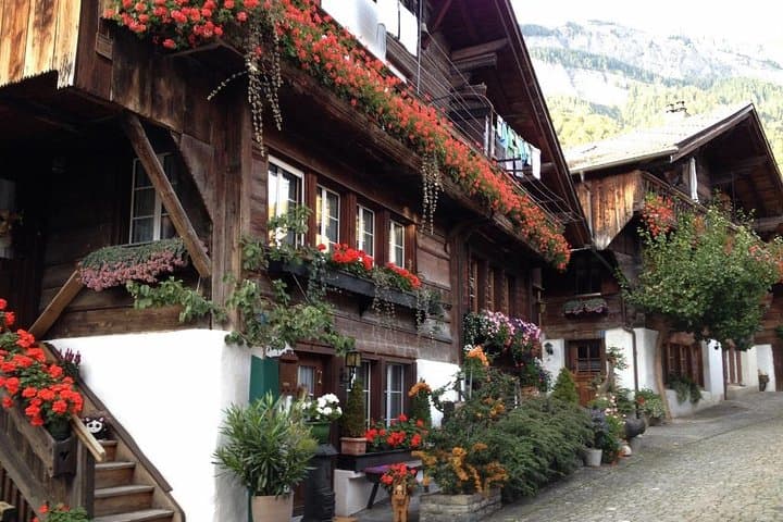 Private Day Tour from Interlaken — Lake Brienz, Aare Gorge & Giessbach Falls photo 5