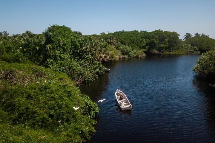 Mazunte & La Ventanilla: Crocs, Turtles and Coastal Wildlife Shore Excursion from Huatulco photo 3