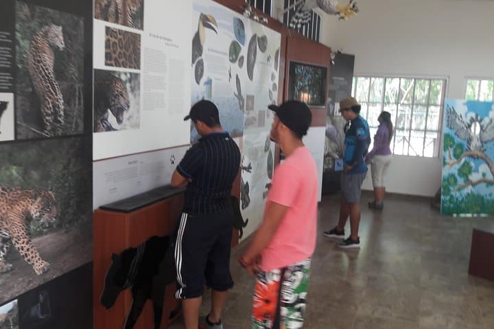 Chagres River Kayak & Embera Village Day Trip from Panama City photo 5