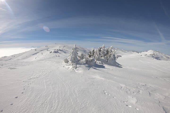 Full-Day Snowshoeing the Olympic Mountains from Sarajevo photo 5