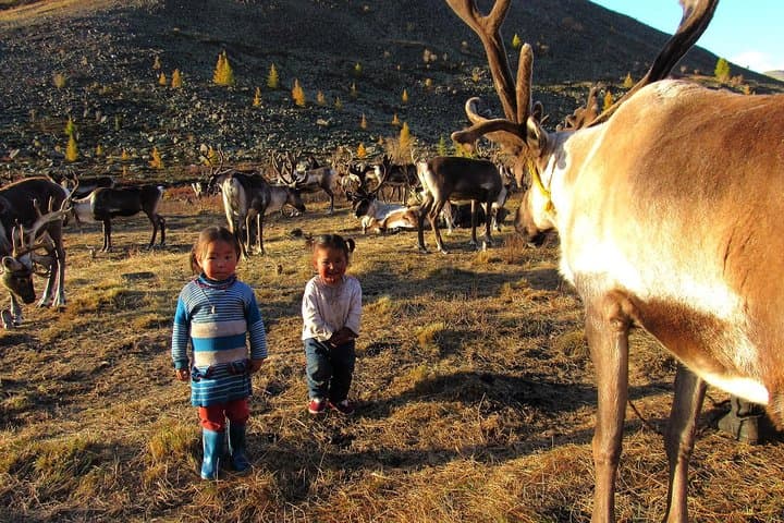 Multi-Day Reindeer Tribe Expedition: Mongolia Horse Trek & Lake Khovsgol
