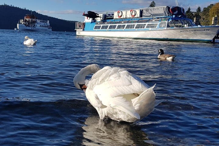 Lake District Adventure Day Trip from Liverpool — Windermere, Grasmere & Langdale photo 2