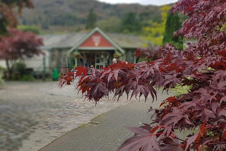 Lake District Adventure Day Trip from Liverpool — Windermere, Grasmere & Langdale photo 4