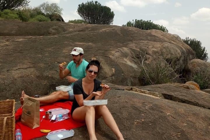 Tarangire & Ngorongoro 2-Day Private Safari from Arusha — Elephants, Baobabs & a Living Crater photo 5