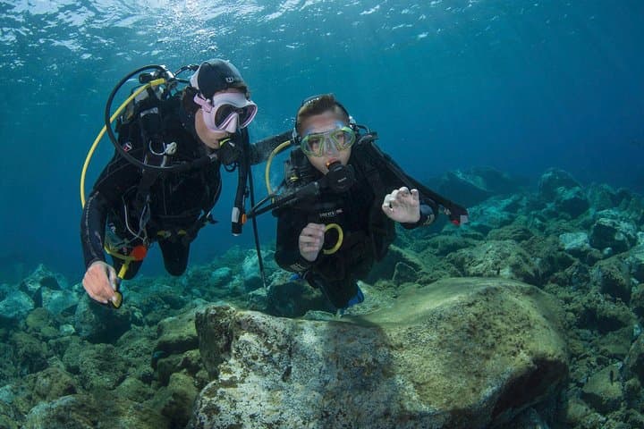 Children's PADI Bubblemaker Diving Experience in Puerto de Mogán, Gran Canaria photo 3