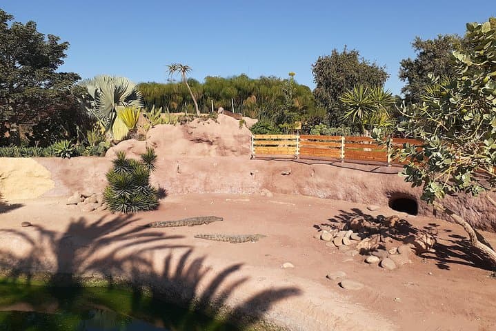 Marrakech to Agadir Day Trip: Kasbah Views, Souk El Had & Atlantic Coast photo 3