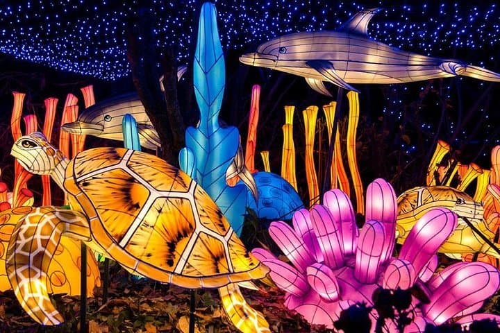 Bronx Zoo Holiday Lights: Nighttime Walkthrough & Visitor Guide photo 6