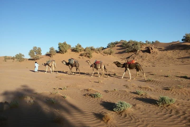 Marrakech to Erg Chegaga: 4-Day Desert Excursion & Camel Camp Experience