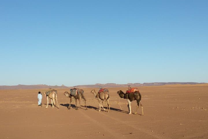Marrakech to Erg Chegaga: 4-Day Desert Excursion & Camel Camp Experience photo 2