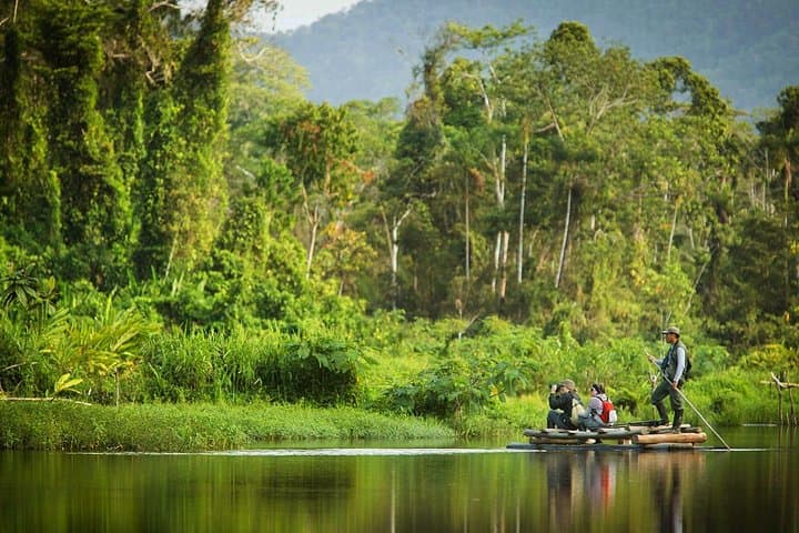 Manu Jungle Tour: 4-Day Cloud Forest to Amazon Wildlife Expedition from Cusco photo 2