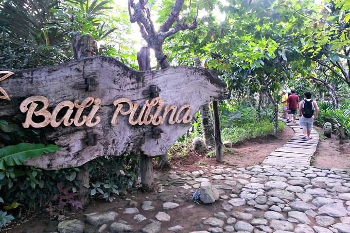 Ubud Private Day Tour: Temple, Waterfall & Coffee Plantation photo 5