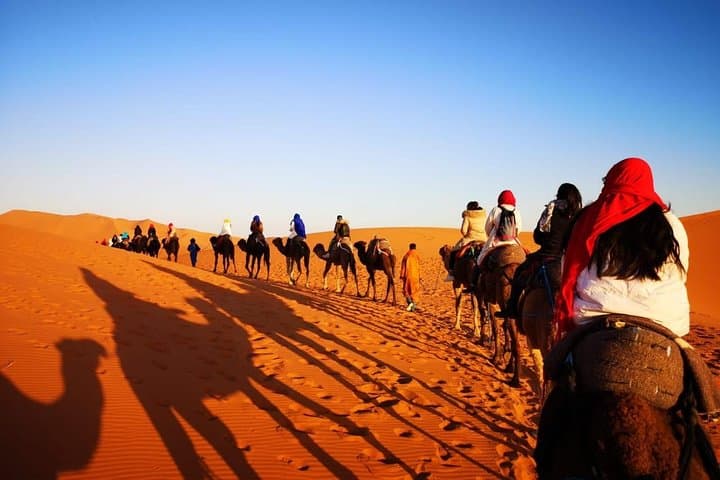 12-Day Morocco Desert Tour from Agadir — Marrakech, Fez & Erg Chebbi Guide