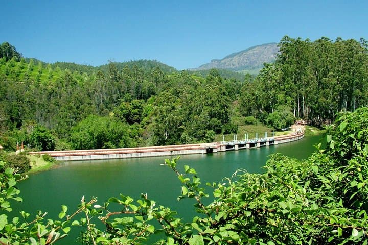 Munnar Day Tour: Tea Plantations, Top Station & Madupetty Dam