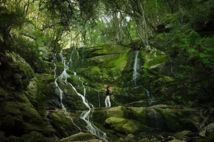 Skeleton Gorge Hike to Table Mountain Summit — Kirstenbosch Route