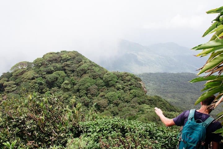 Trek the Knuckles Range: A Day Hike Through Sri Lanka's Highland Wilds photo 4