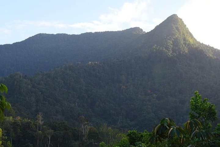 Trek the Knuckles Range: A Day Hike Through Sri Lanka's Highland Wilds photo 2
