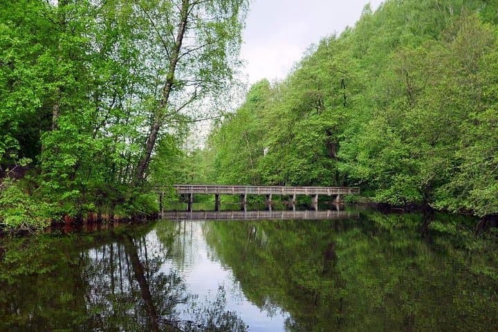 Oslo Shore Excursion: Nydalen, Bygdøy Peninsula and Kon‑Tiki Museum in One Day photo 4