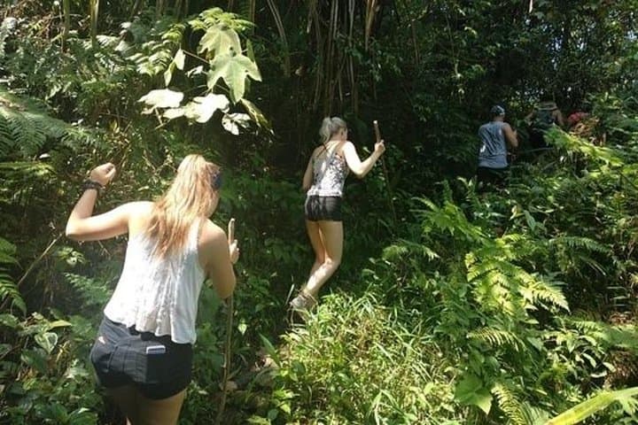 Jungle Tracking to Volcano Crater: Day Hike from Bandung photo 5