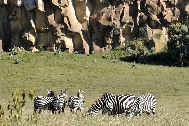 Crescent Island & Hell's Gate Day Trip: Walk with Wildlife and Cycle Volcanic Cliffs