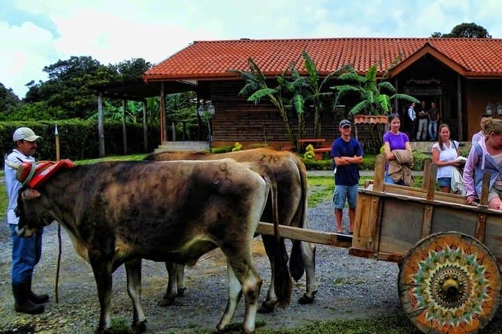 Monteverde Cloud Forest Coffee, Chocolate & Sugar Cane Farm Tour Guide photo 2