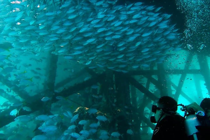 Try Scuba in Semporna: Discover Scuba Diving for Non-Divers photo 5