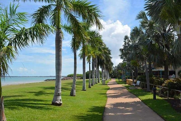 Darwin Sunset Markets & City Tour: Mindil Beach Evening Experience photo 4