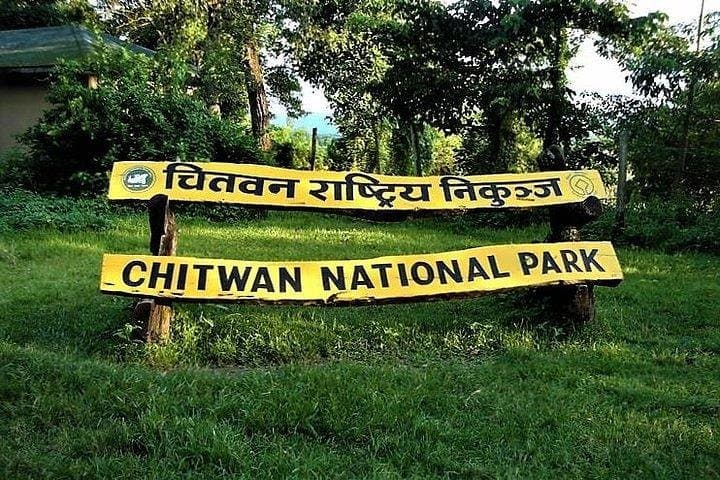 Jeep Safari in Chitwan National Park: Three-Day Wildlife & Tharu Cultural Experience