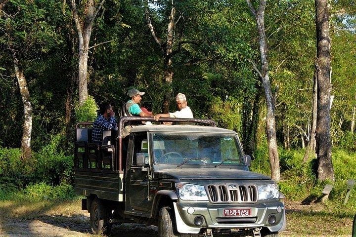 Jeep Safari in Chitwan National Park: Three-Day Wildlife & Tharu Cultural Experience photo 2
