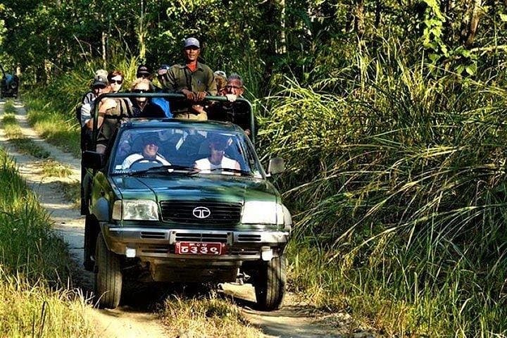 Jeep Safari in Chitwan National Park: Three-Day Wildlife & Tharu Cultural Experience photo 3