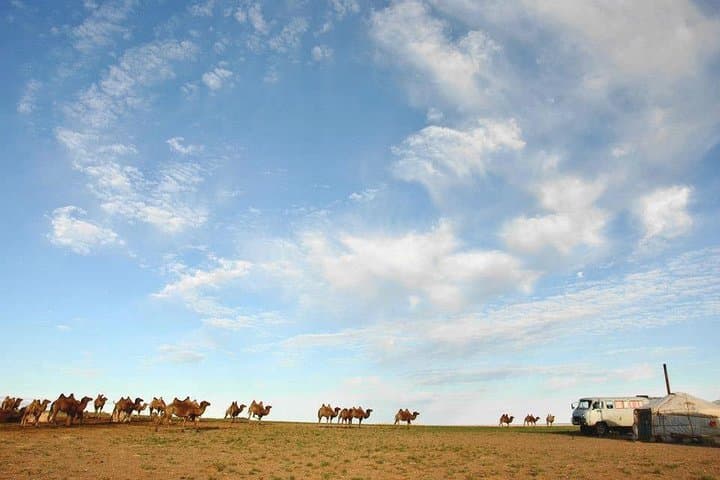 12-Day Gobi Desert & Express Mongolia Adventure photo 2