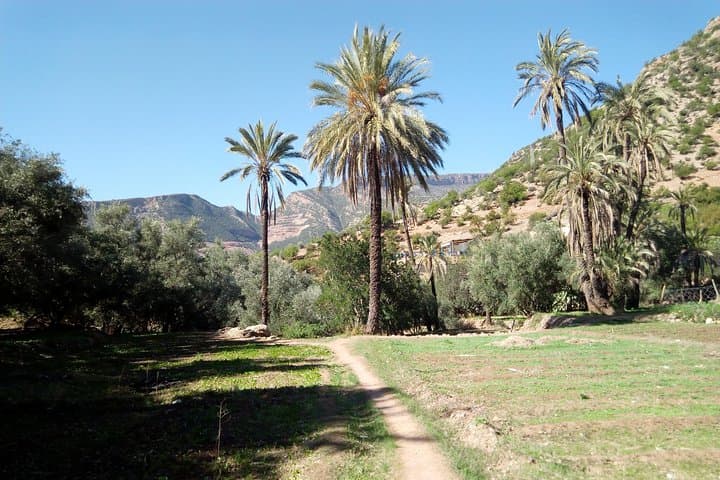 Paradise Valley Biking and Hiking Day Trip from Agadir photo 3