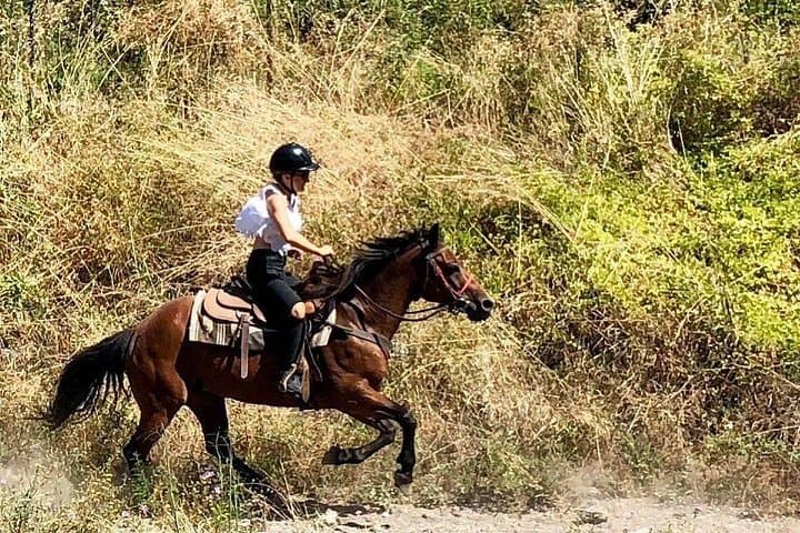 Horseback Riding Mount Vesuvius: Volcano Views & Local Wine Tasting photo 5