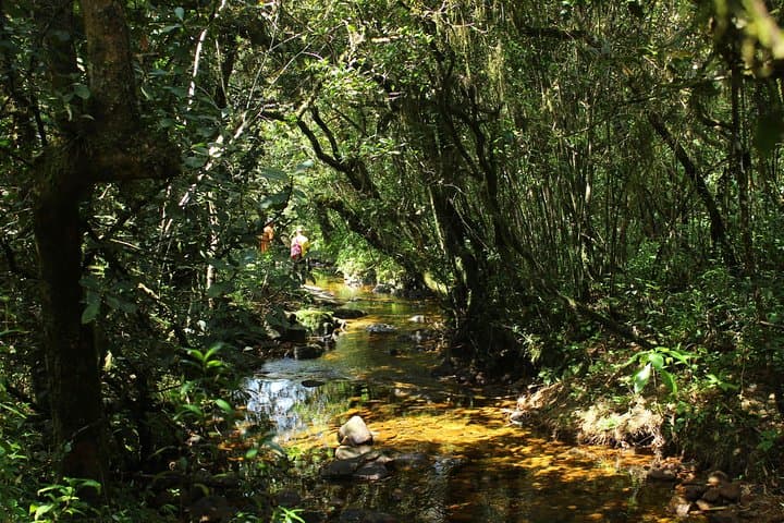 Knuckles Range Hike & Mud Cottage Overnight — Cloud-Forest Trails and Natural Pools photo 3