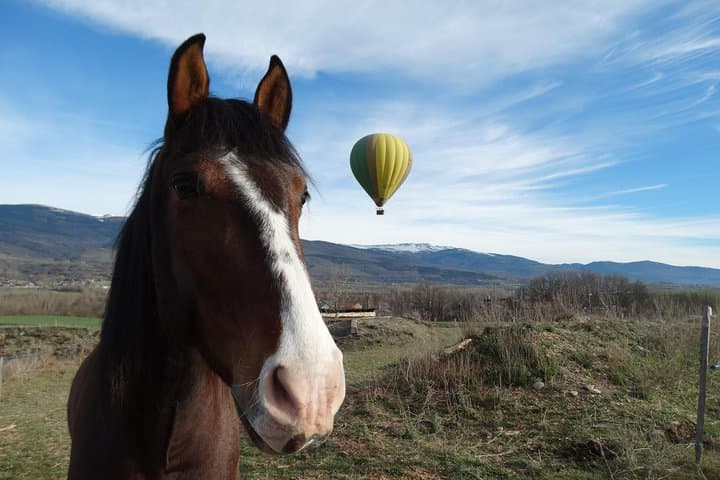 Exclusive Pyrenees Hot Air Balloon Flight from Barcelona photo 4