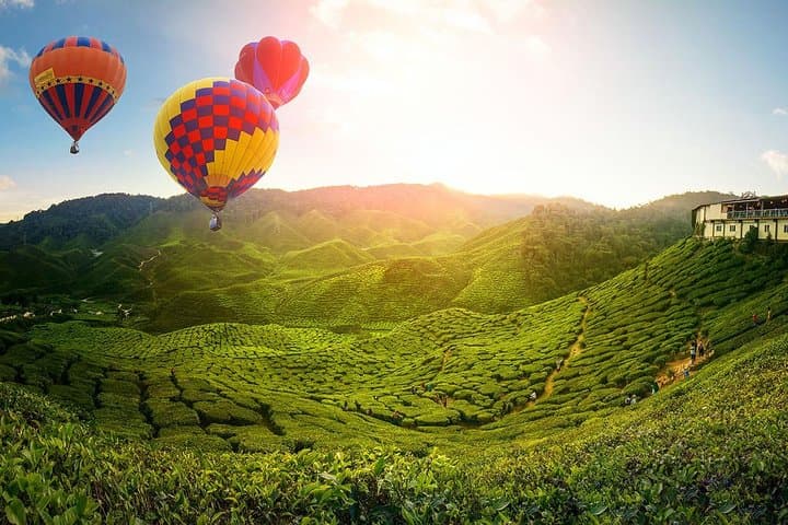 Highlands, Caves & Heritage: 2D1N Cameron Highlands, Batu Caves & Ipoh Private Tour from Kuala Lumpur