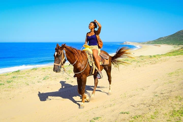 Los Cabos Horseback Riding Tour: Pacific Beach Ride & Tequila Tasting photo 3